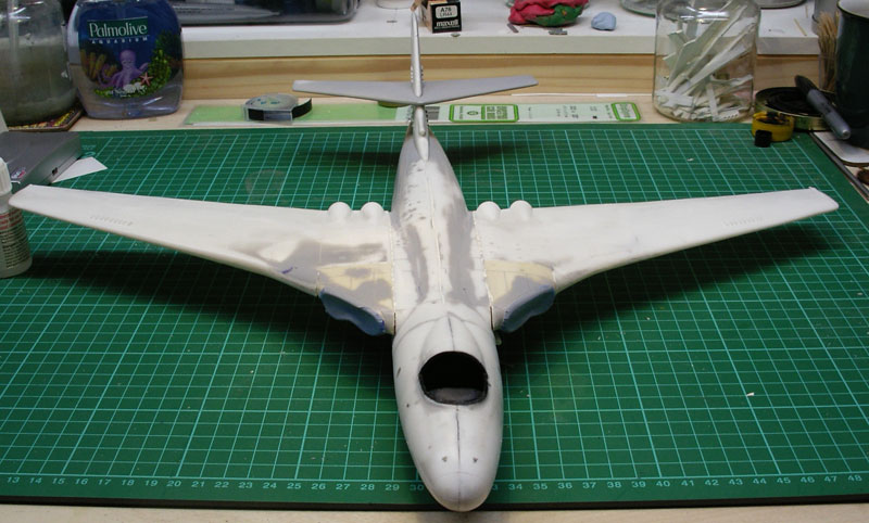 wings-on1.jpg