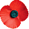 poppy.gif