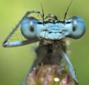 Richard E's Photo