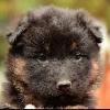 CzechKits.com News - 22.5.2... - last post by Tomas@CzechKits.com