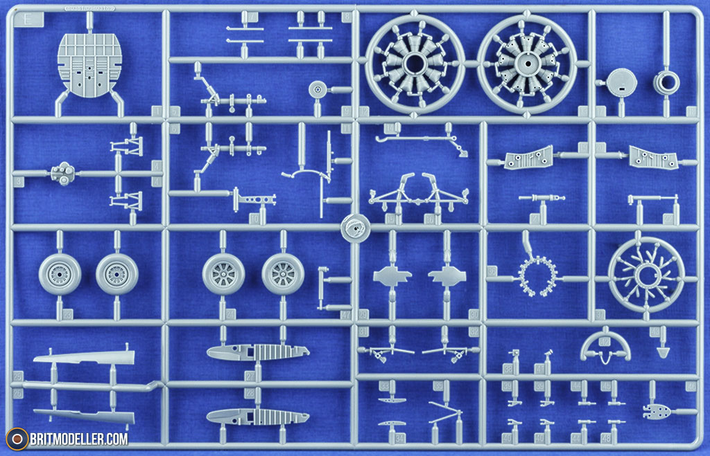 sprue5.jpg