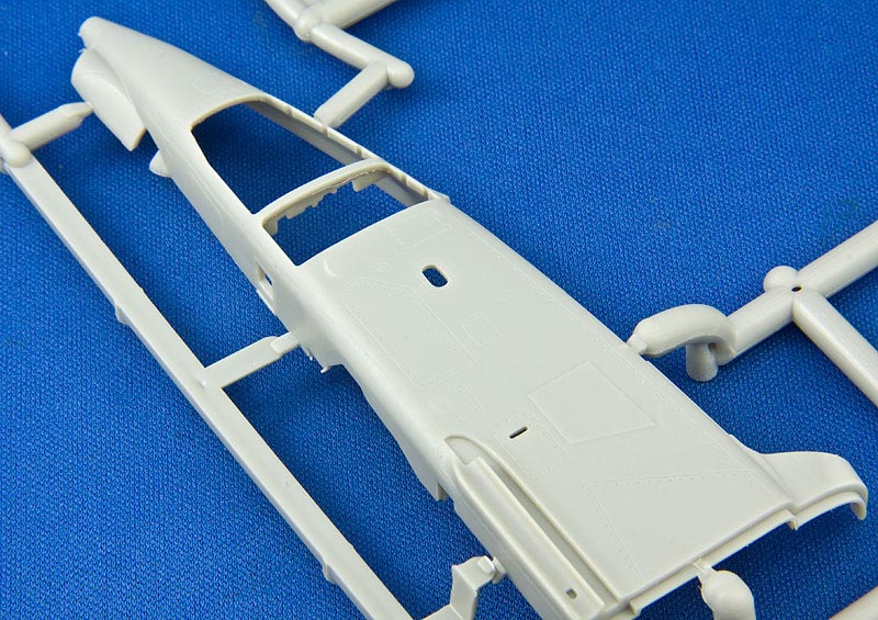 detail-nose.jpg