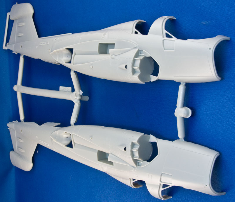 fuselage.jpg