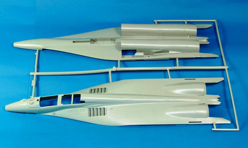 Sprue1.JPG