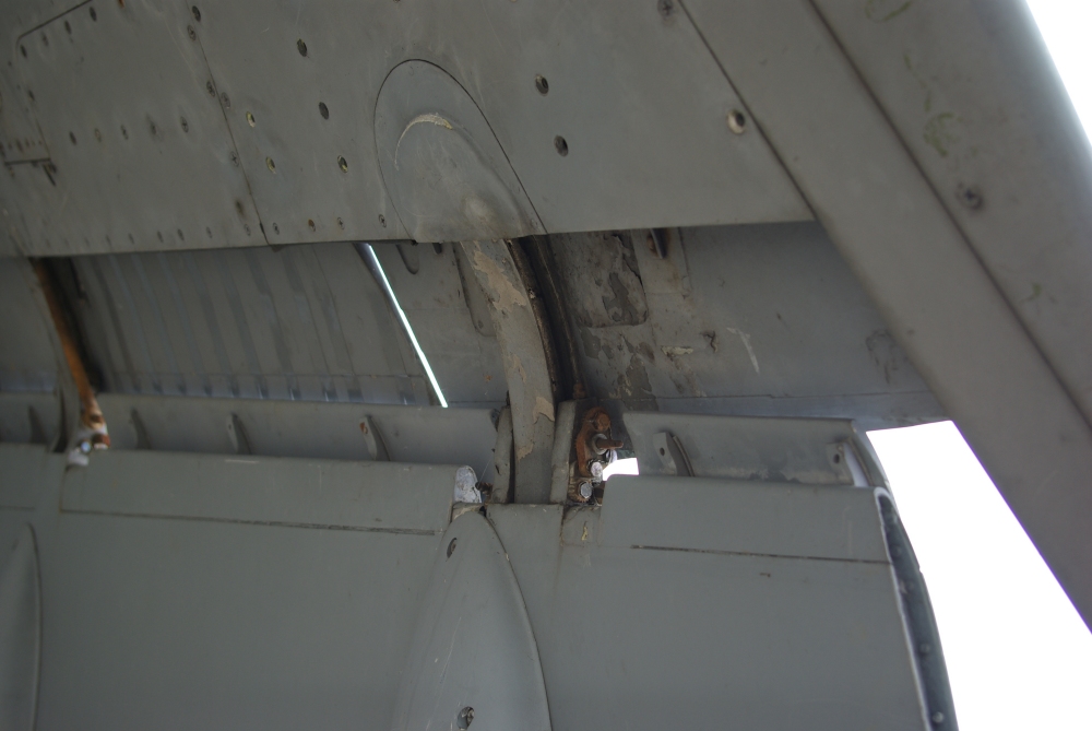 flaps9.jpg