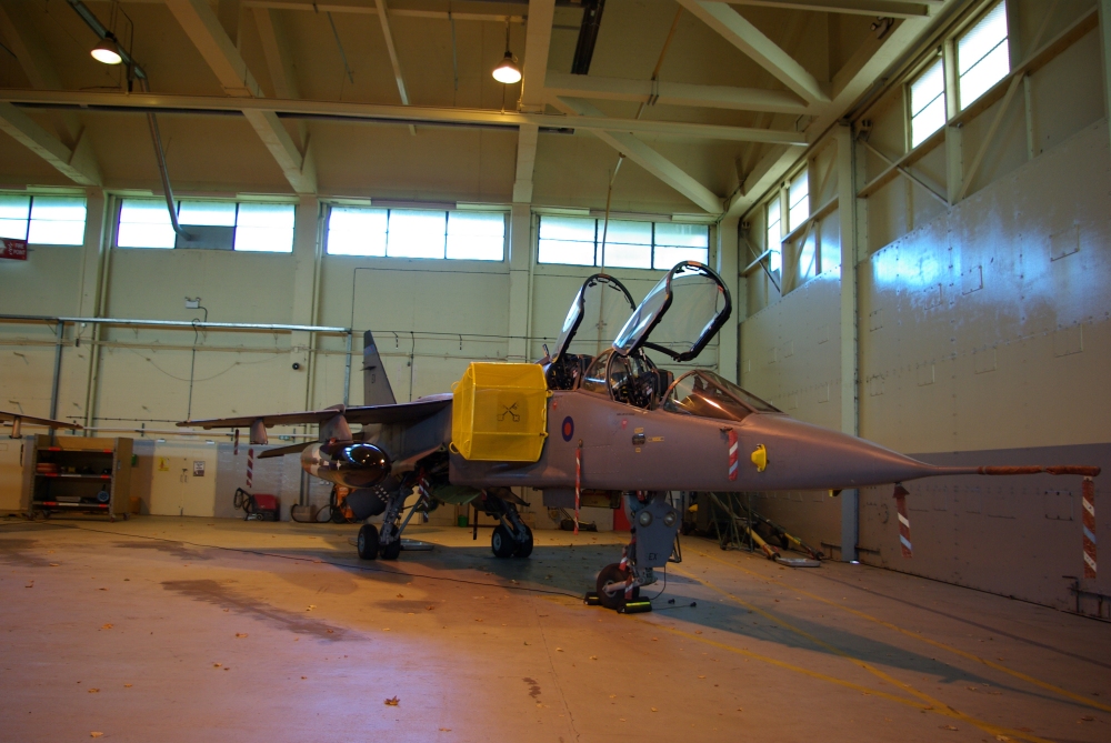 fod4.jpg