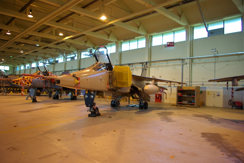 fod6.jpg