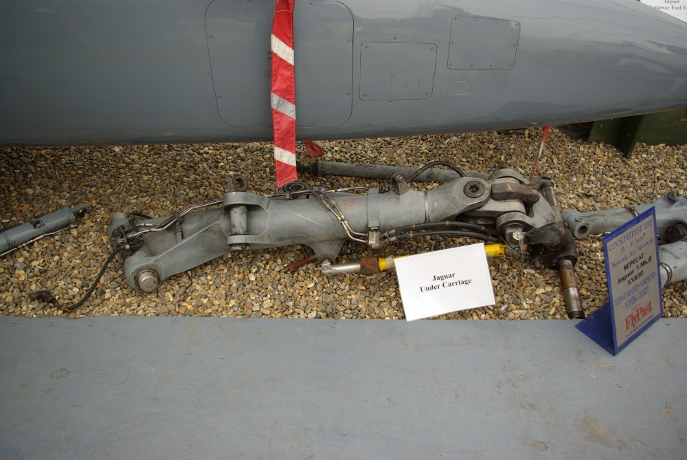 mleg25.jpg