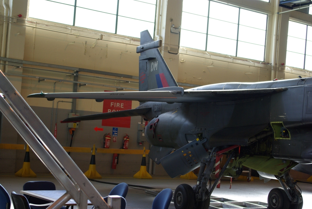 31sqn-camo-tail.jpg