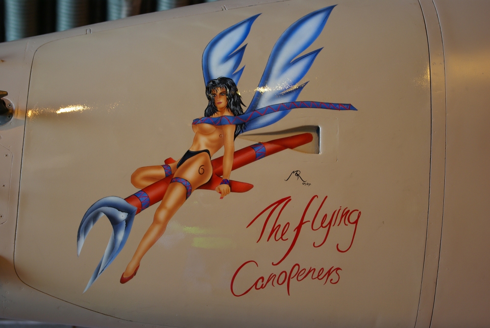 6sqn-noseart.jpg
