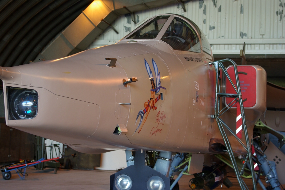 nose3.jpg