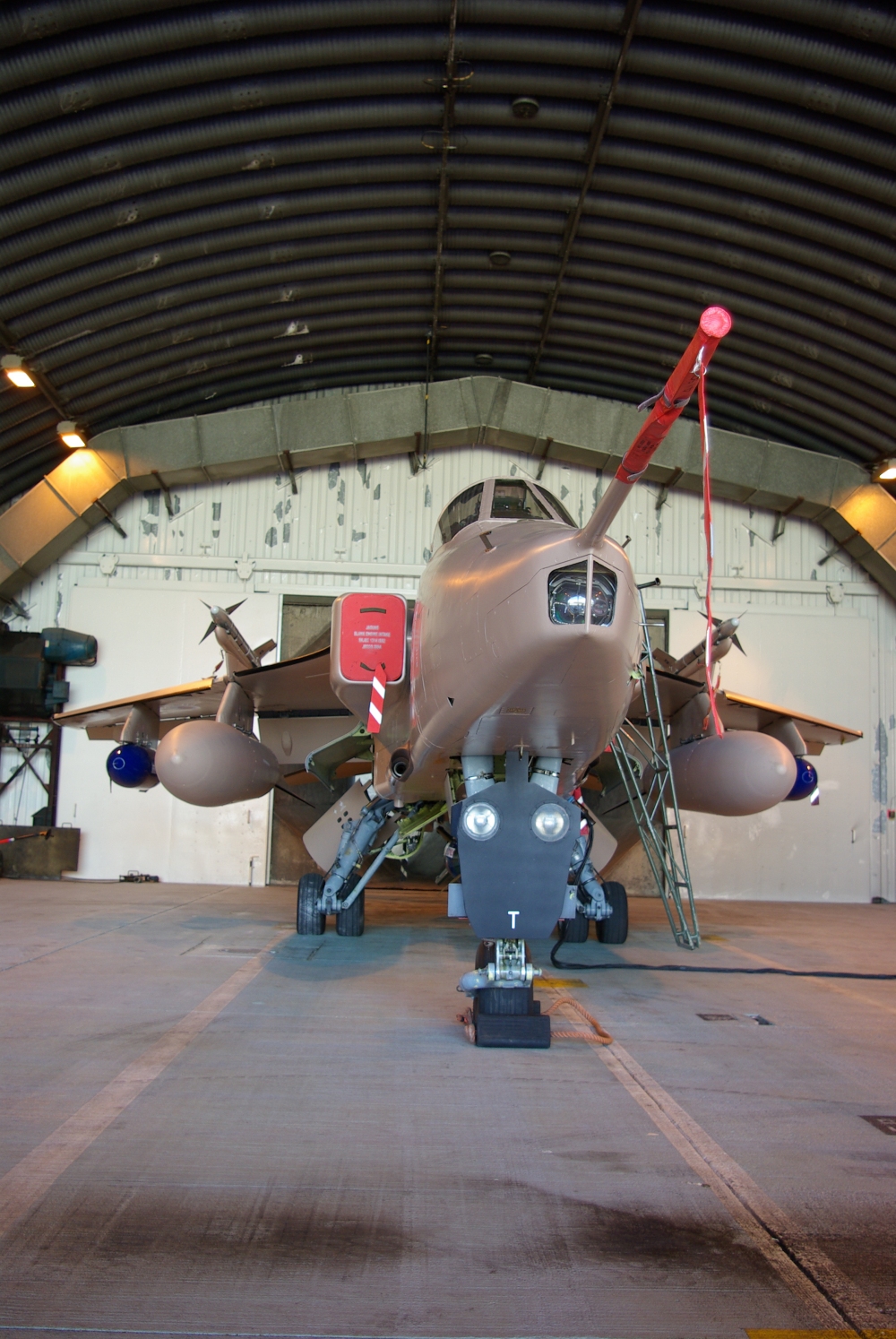 nose4.jpg