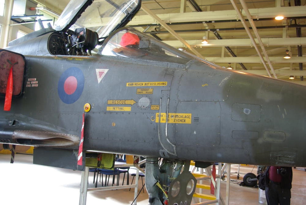 nose6.jpg
