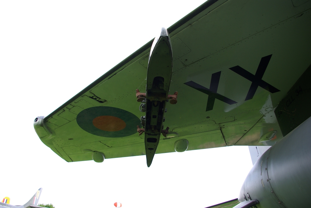 pyl14.jpg