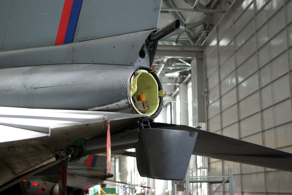 tail1.jpg