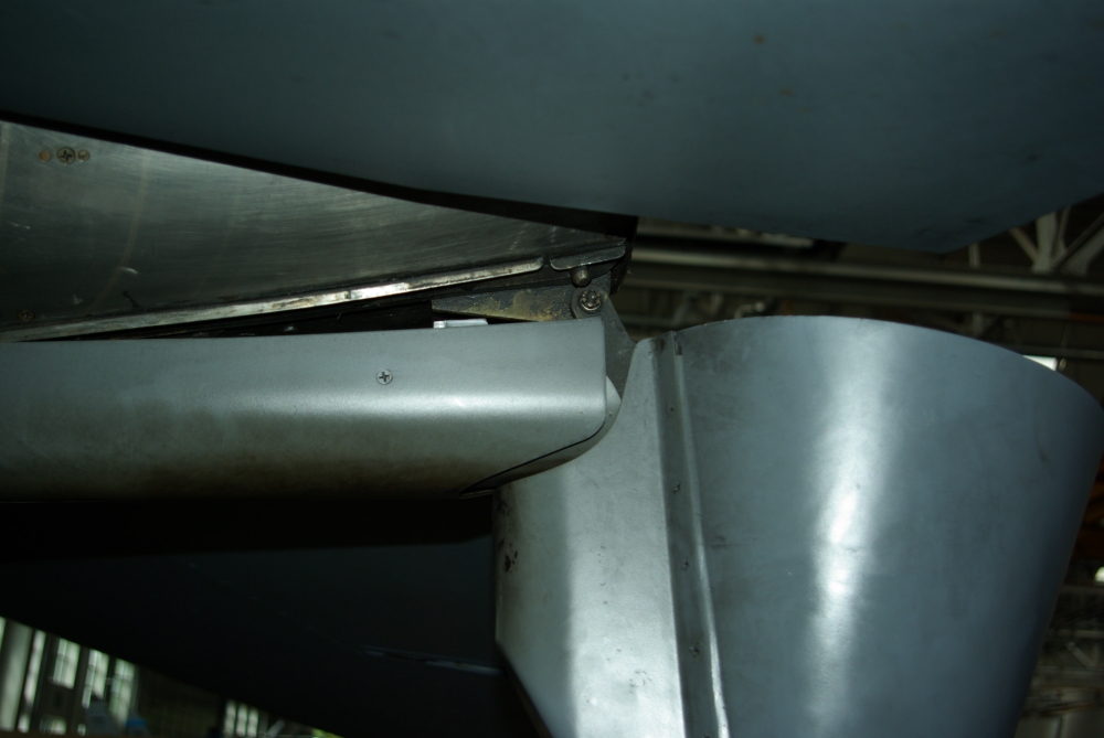 tail10.jpg