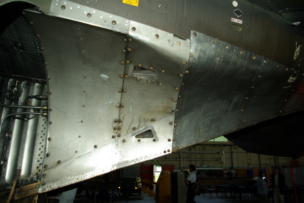 tail14.jpg