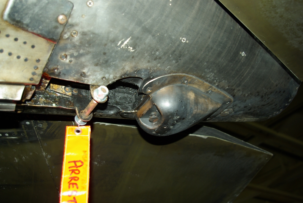 tail15.jpg