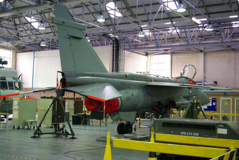 tail17.jpg