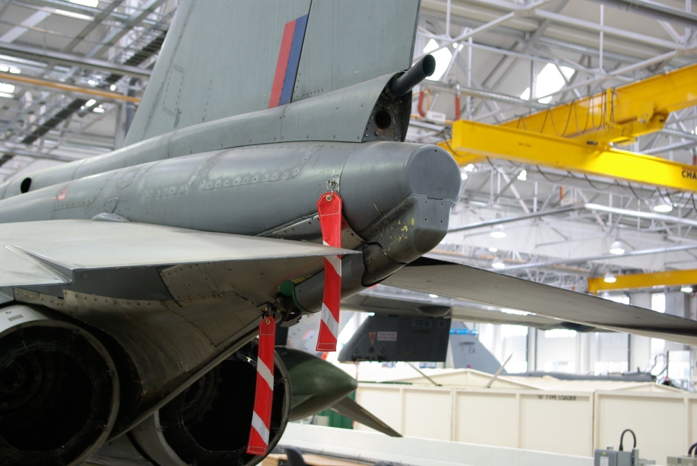 tail2.jpg