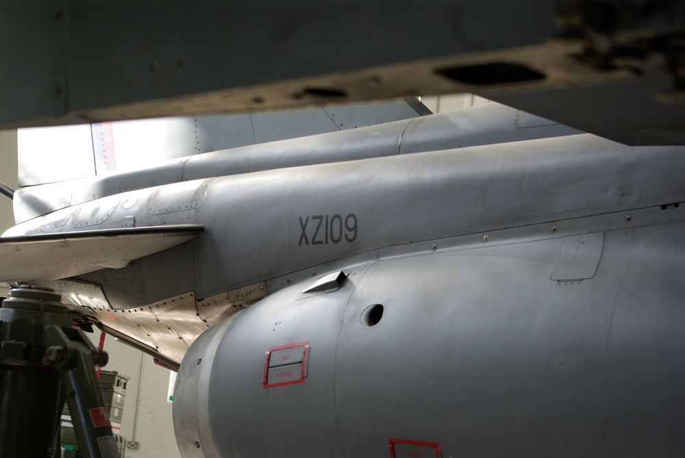 tail20.jpg