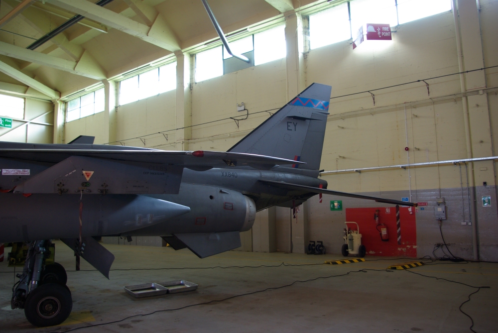 tail23.jpg