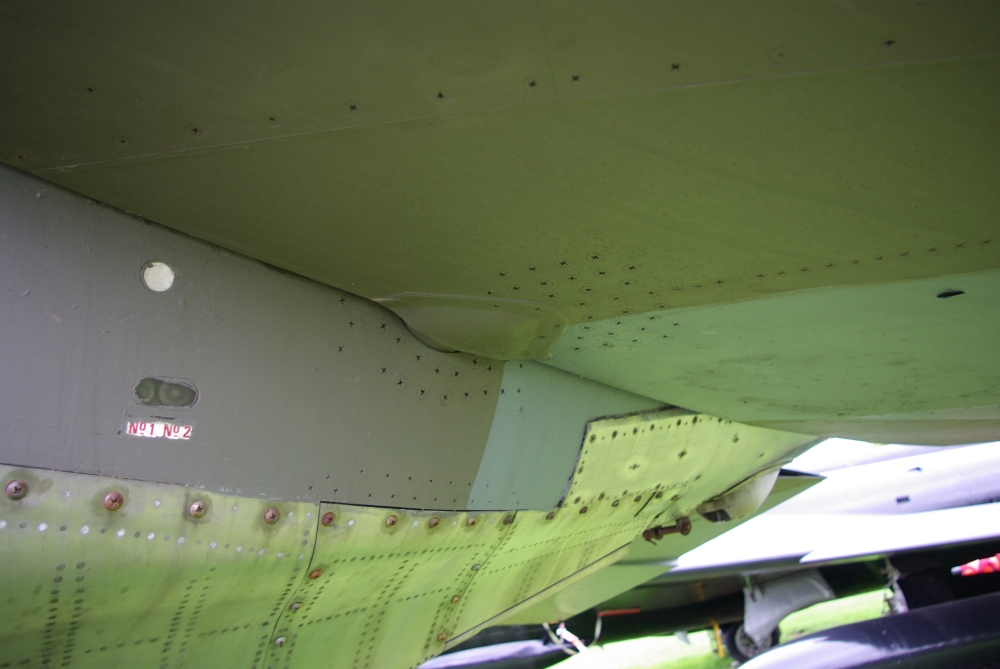 tail25.jpg