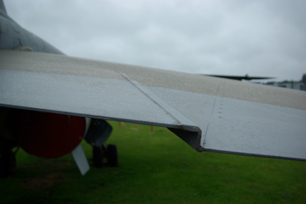 tail28.jpg