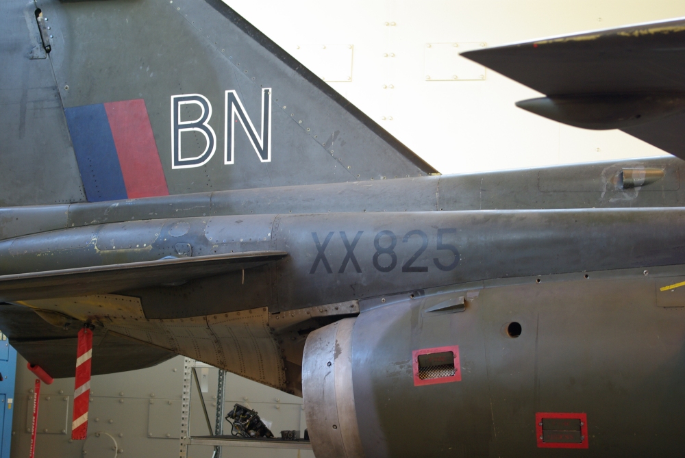 tail3.jpg