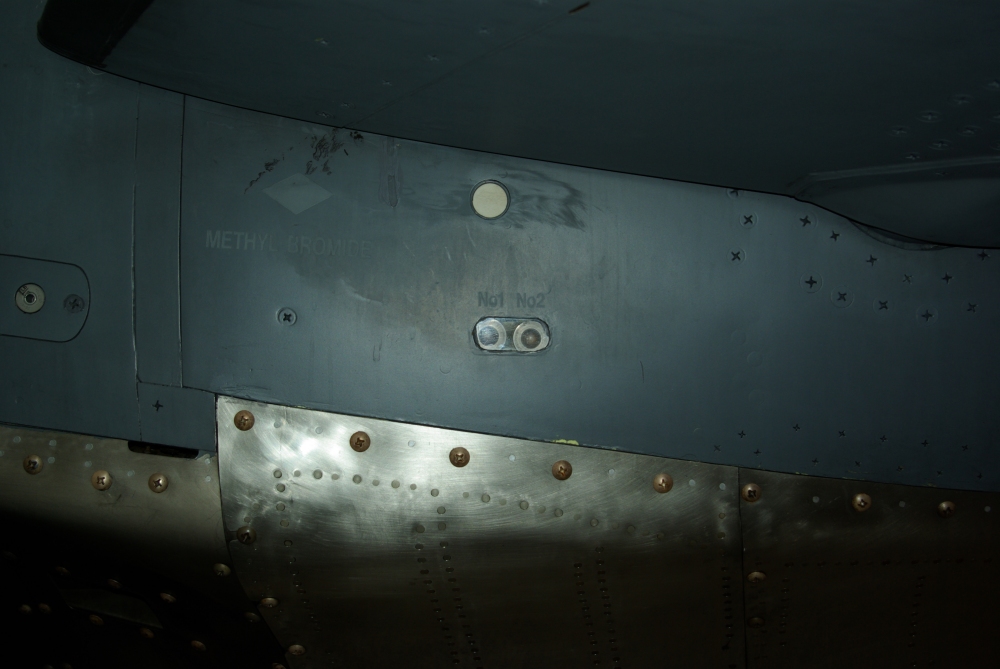 tail7.jpg