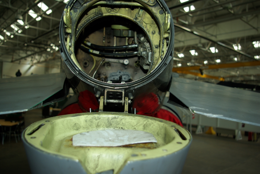 tail8.jpg
