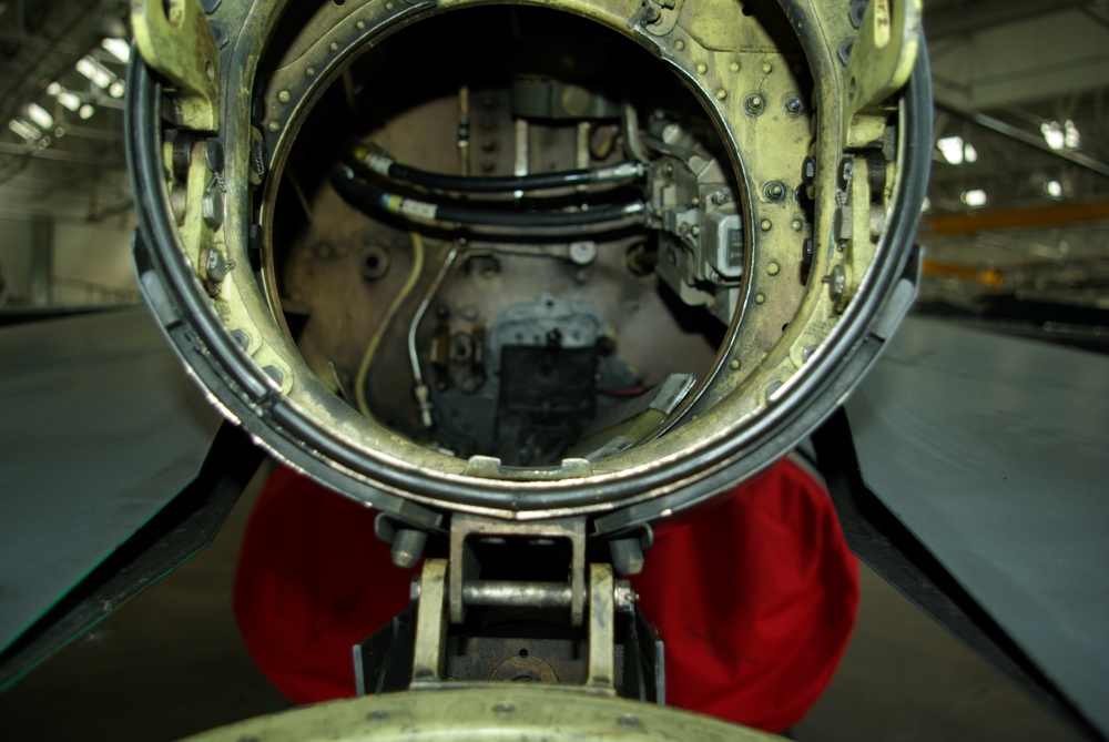 tail9.jpg