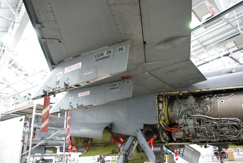 wing10.jpg