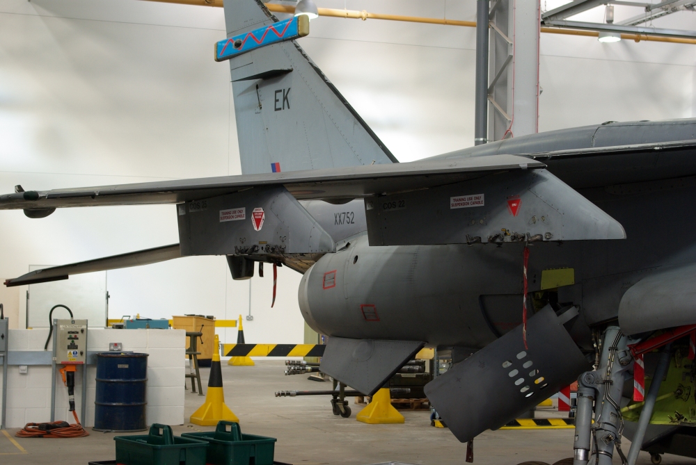 wing11.jpg