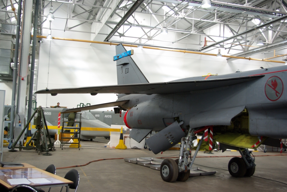 wing13.jpg