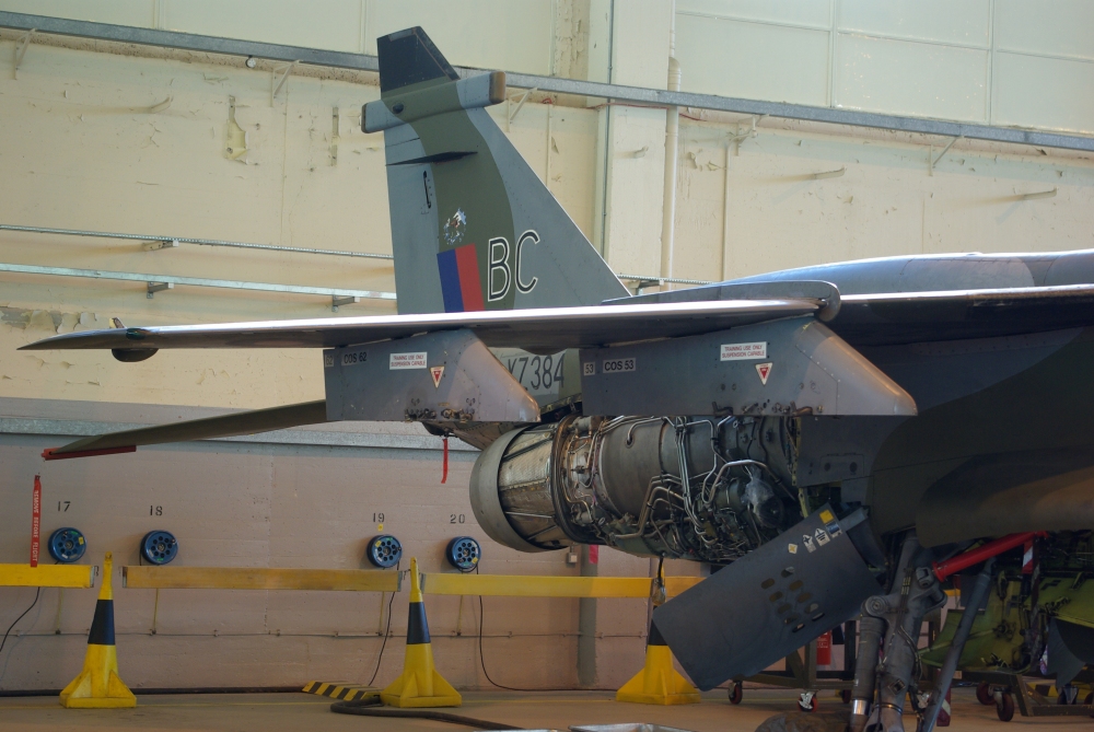 wing19.jpg
