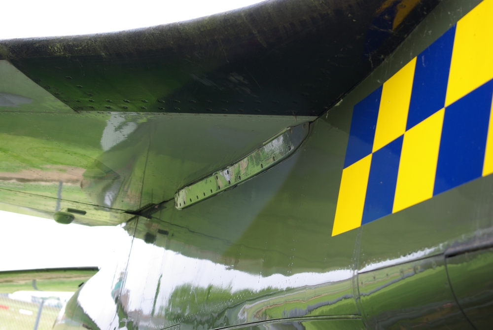 wing24.jpg
