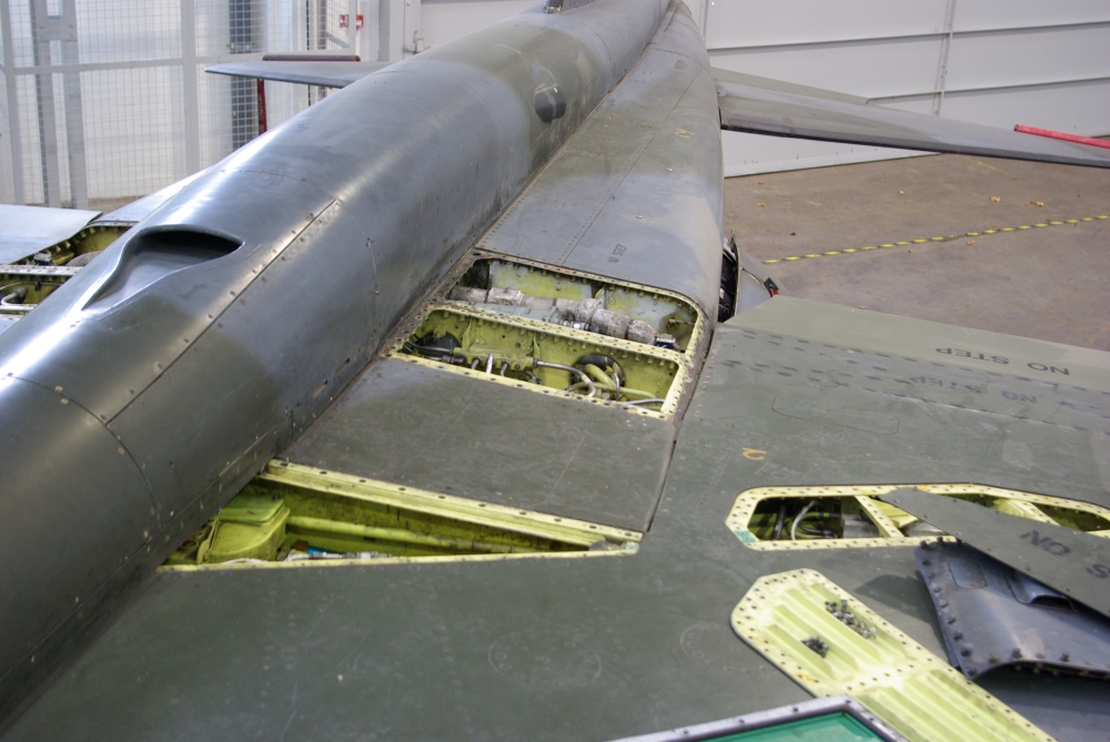wing4.jpg