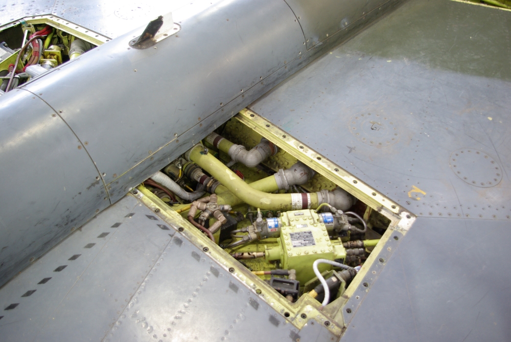 wing5.jpg