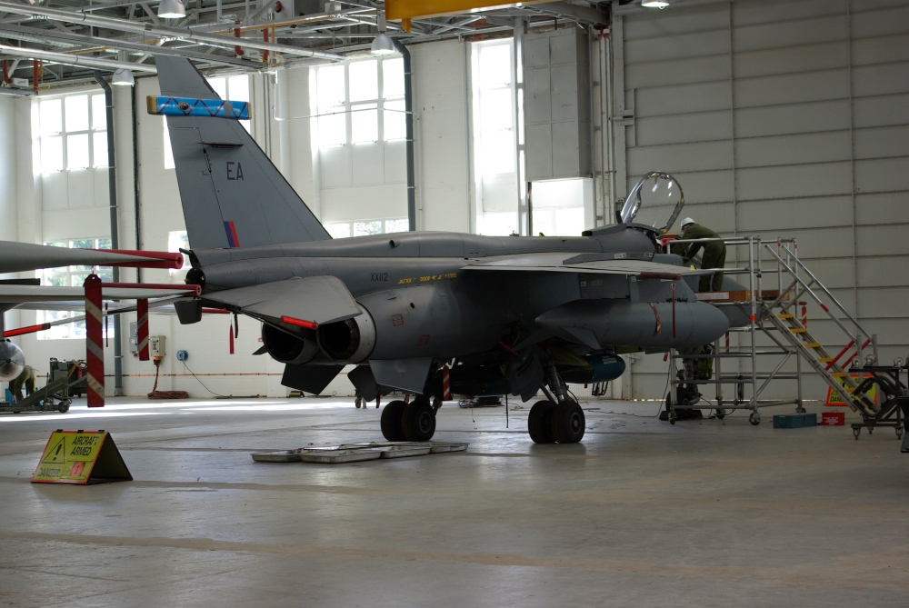 wing9.jpg