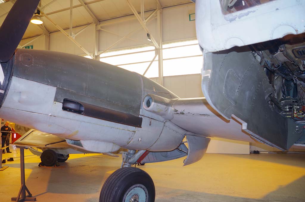 f410_06.JPG