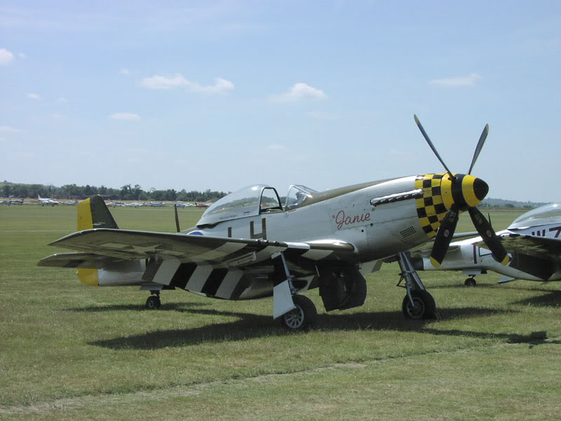 P-51DJanie1.jpg