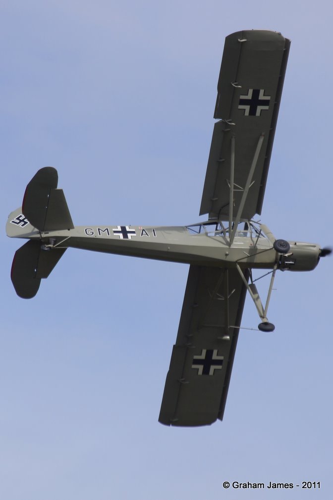 Storch-0001.JPG