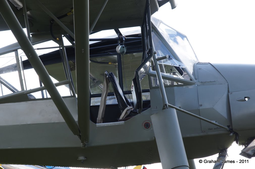 Storch-0004.JPG