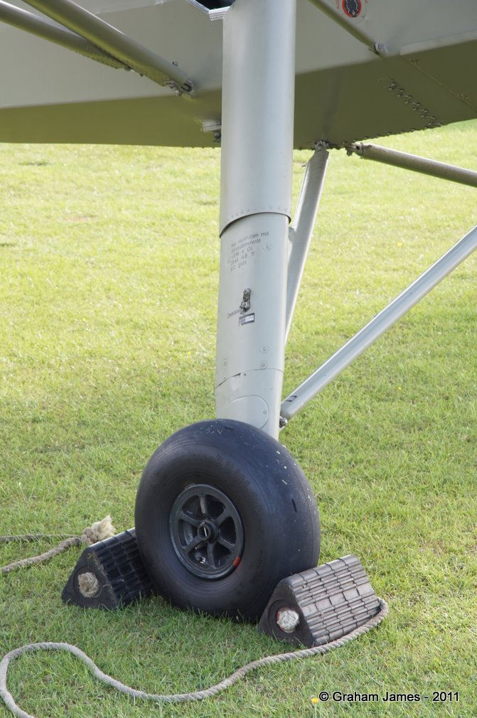 Storch-0008.JPG