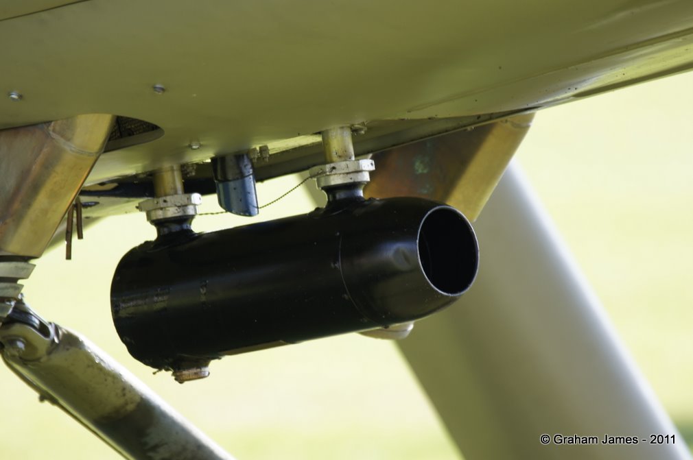 Storch-0013.JPG