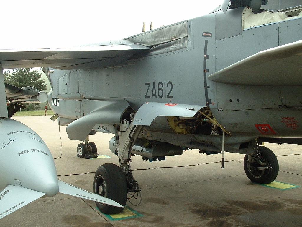 ZA612%205.JPG