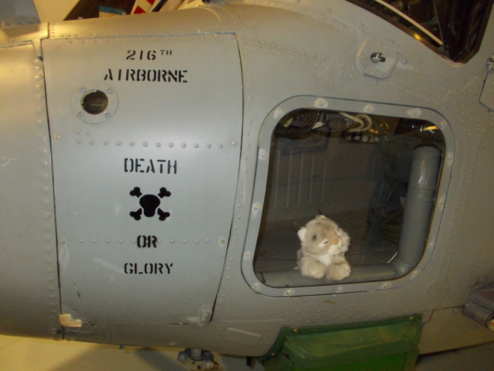 xz720_154.JPG