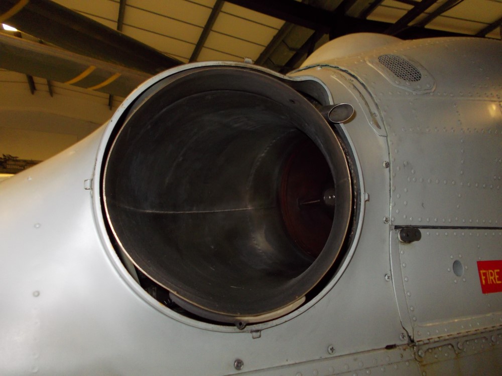 xz720_177.JPG