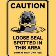 LooseSeal